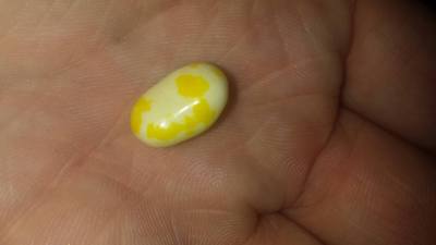 14285547_10153728981965974_1730178218_o