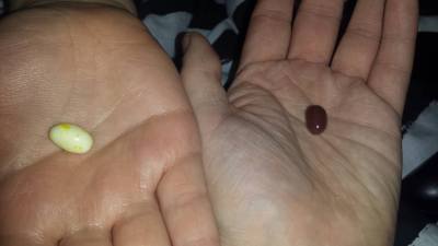 14359876_10153728945555974_1815113555_o