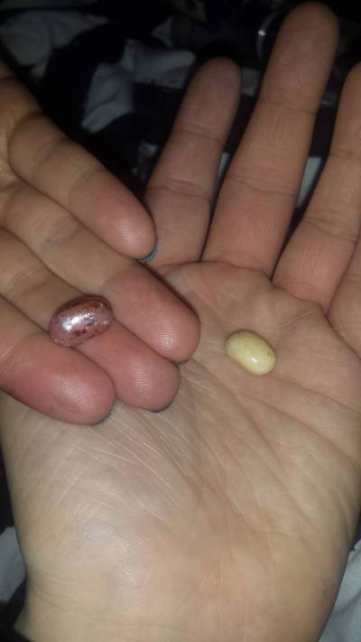 14375392_10153728961660974_43986702_o