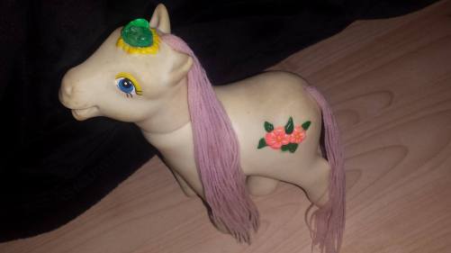 14408216_10153736723245974_1544230783_o