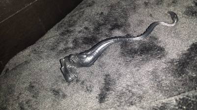 14446298_10153738918775974_235250770_o1