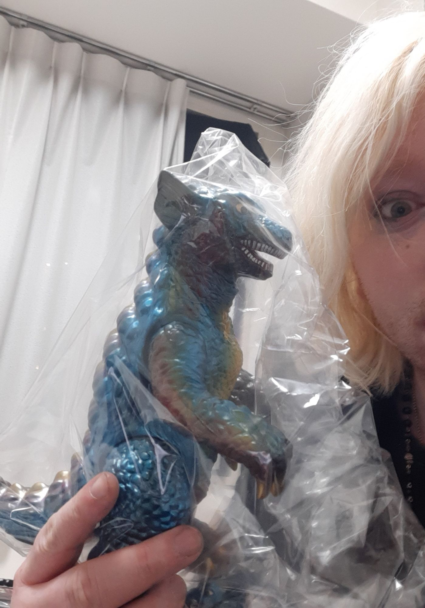 Travels in Japan! Day 2! Nakano Broadway Kaiju Hunting, and Sakura